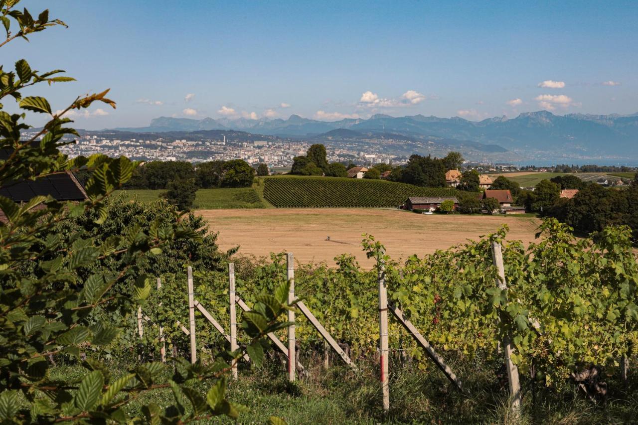 Apartamento Les Volets Bleus Morges Exterior foto