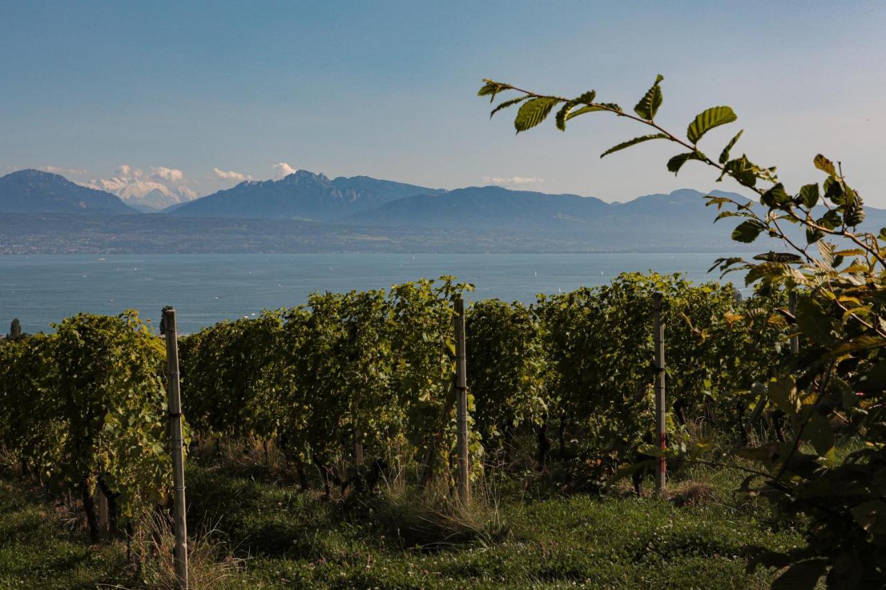 Apartamento Les Volets Bleus Morges Exterior foto